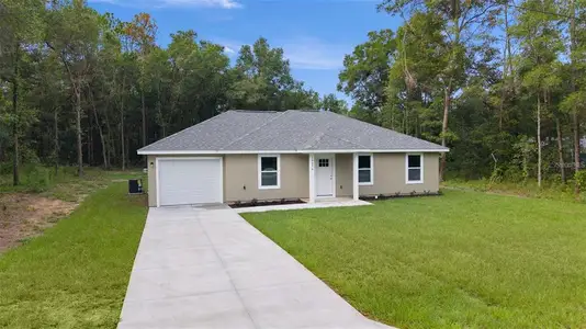 New construction Single-Family house 14 Fisher Loop Trce, Ocklawaha, FL 32179 - image