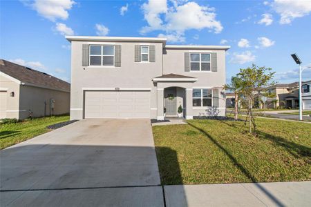 New construction Single-Family house 8210 Dolphin Bluff Blvd, Wesley Chapel, FL 33545 plan Hayden - image