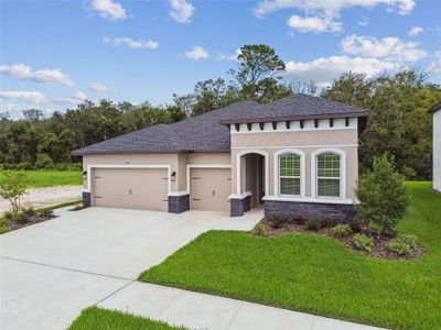 New construction Single-Family house 11303 Striped Bass Ct, New Port Richey, FL 34654 - image 4