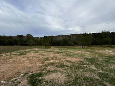 New construction Single-Family house 115 Brookhaven Drive, Spring Hope, NC 27882 - photo 24 24