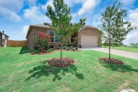 New construction Single-Family house 3808 Arrowchop Dr, Caddo Mills, TX 75135 plan Hickory | Fox Landing - image