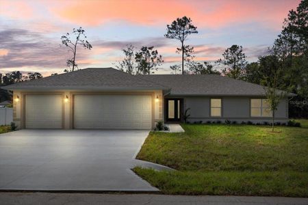 New construction Single-Family house 5 Zephyr Lily Trail, Palm Coast, FL 32164 - photo 0