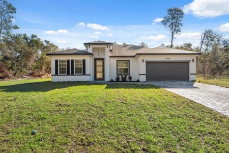 New construction Single-Family house 15163 Sw 29Th Terrace Rd, Ocala, FL 34473 null- photo 0 0