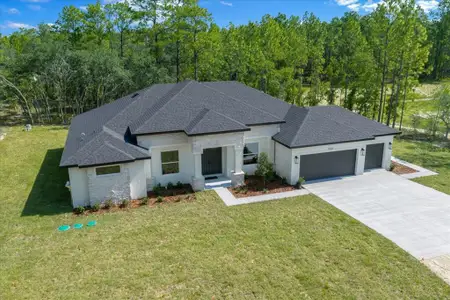 New construction Single-Family house 11021 Stilt Ave, Weeki Wachee, FL 34614 - image