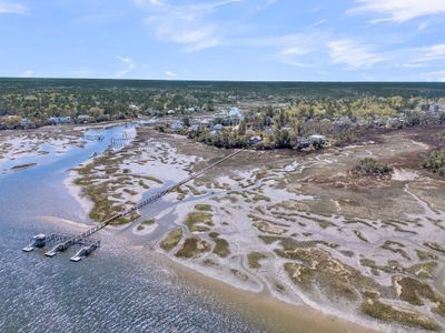 New construction Single-Family house 2296 Beckenham Dr, Mount Pleasant, SC 29466 - image