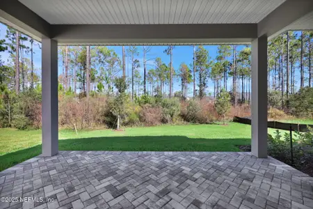 New construction Single-Family house 145 Oak Breeze Dr, Nocatee, FL 32081 plan The Hernando - image 3