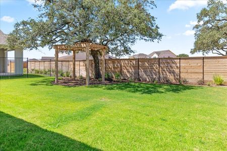 New construction Single-Family house 1129 Yaupon Holly Drive, Georgetown, TX 78628 Plan 3- photo 24 24