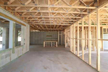 New construction Single-Family house 11984 Hilltop Farms Dr, Dade City, FL 33525 Casanova- photo 12 12