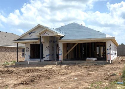 New construction Single-Family house 4707 Allison Dr, Belton, TX 76513 - image 2