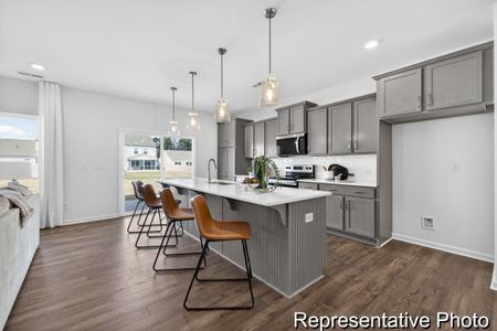 New construction Single-Family house 11 Open Meadow Ct, Lillington, NC 27546 plan The Kipling - image