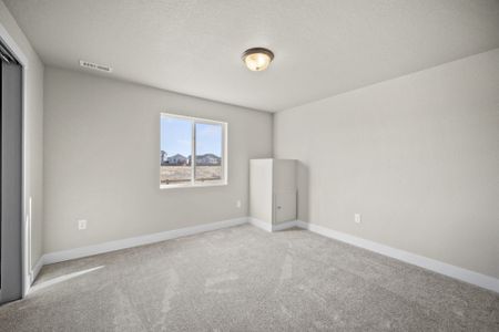 New construction Single-Family house 11472 Lake Trout Dr, Colorado Springs, CO 80925 plan Ash - image 20