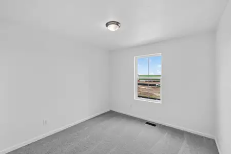 New construction Single-Family house 28405 E 4Th Ave, Watkins, CO 80137 plan Buena Vista - image 20