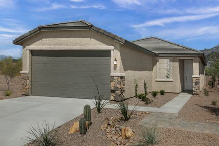 New construction Single-Family house 15250 N Primrose Peak Trl, Tucson, AZ 85739 - image