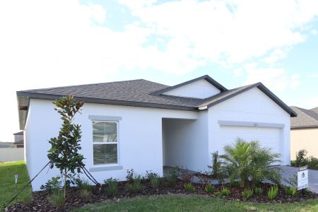 New construction Single-Family house 12193 Hilltop Farms Dr, Dade City, FL 33525 Sentinel- photo 73 73