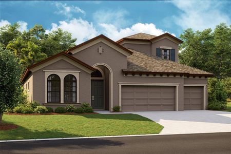 New construction Single-Family house 13138 Homestead Ln, Parrish, FL 34219 Biscayne II- photo 0