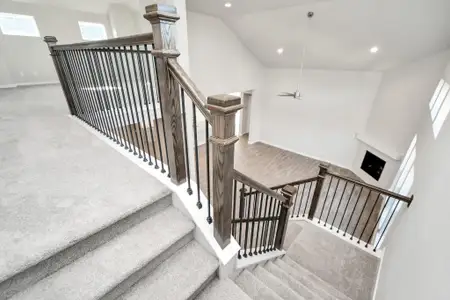 New construction Single-Family house 11111 Tulip Ridge Trl, Houston, TX 77044 plan 269 - image 20