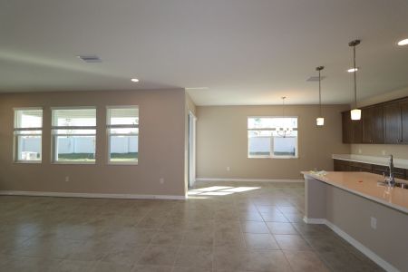 New construction Single-Family house 38326 Tobiano Loop, Dade City, FL 33525 Casanova- photo 122 122