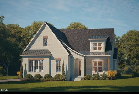 New construction Single-Family house 462 Chapel Ridge Dr, Pittsboro, NC 27312 - image