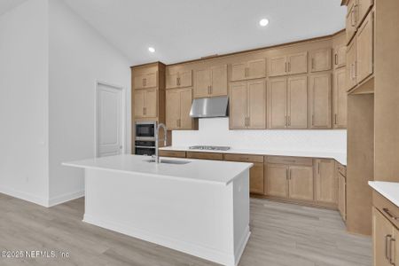 New construction Single-Family house 166 Blue Hampton Dr, Nocatee, FL 32081 plan Silver - image 12