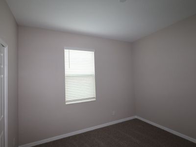 New construction Single-Family house 3189 Fall Harvest Dr, Zephyrhills, FL 33540 plan Castellana - image 7