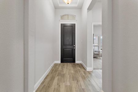 Foyer entrance with light hardwood / wood-style flooring and a tray ceiling