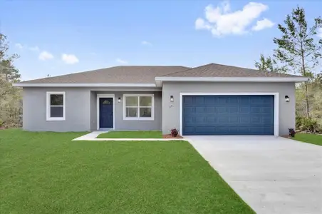 New construction Single-Family house 142 Guava Pass, Ocklawaha, FL 32179 null- photo 0