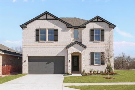 New construction Single-Family house 1901 Blackbird Ln, Princeton, TX 75407 Rainier- photo 0