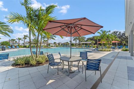 Fountain View by D.R. Horton in Ormond Beach - photo 10 10