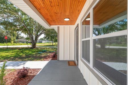 New construction Single-Family house 13342 Sw 88Th Ct, Ocala, FL 34473 - image