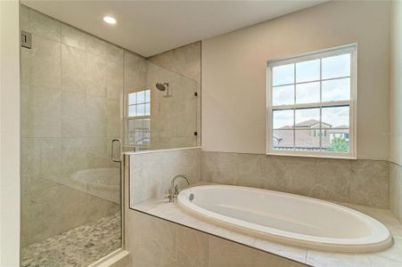 New construction Single-Family house 8215 Rushton Pl, Parrish, FL 34219 plan Verona - image 9