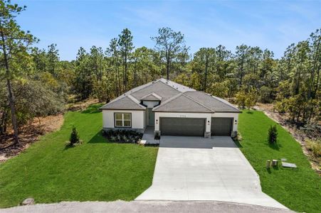 New construction Single-Family house 13 Pagoda Ct W, Homosassa, FL 34446 - image