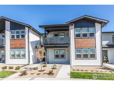 New construction Multi-Family house 2296 Setting Sun Dr, Unit 4, Windsor, CO 80550 Carnegie - photo 0 0