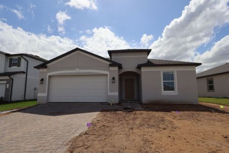 New construction Single-Family house 37849 Tobiano Lp, Dade City, FL 33525 plan Maui - image