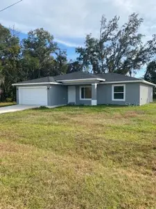 New construction Single-Family house 40 Maple Ln, Ocklawaha, FL 32179 - image