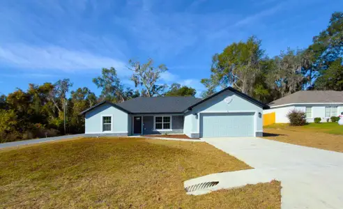 New construction Single-Family house 47 Larch Radl, Ocala, FL 34480 - image