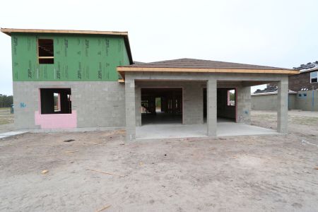 New construction Single-Family house 1878 Drummond Pt, Zephyrhills, FL 33541 Corina II Bonus- photo 29 29