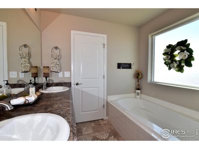 New construction Single-Family house 2416 Dandelion Ln, Johnstown, CO 80534 - image 8