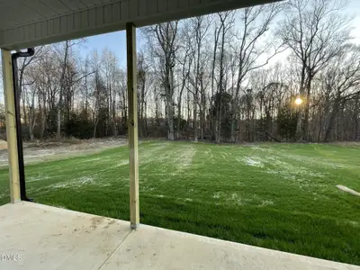 New construction Single-Family house 199 Busterfield Ct, Benson, NC 27504 - image