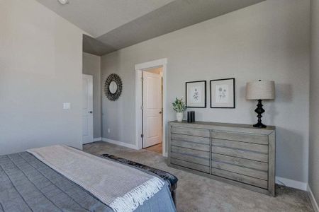 New construction Townhouse house 3425 Triano Creek Dr, Unit 101, Loveland, CO 80538 null- photo 36 36