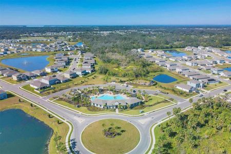 New construction Single-Family house 4114 Dovetail Ln, Palmetto, FL 34221 null- photo 48 48
