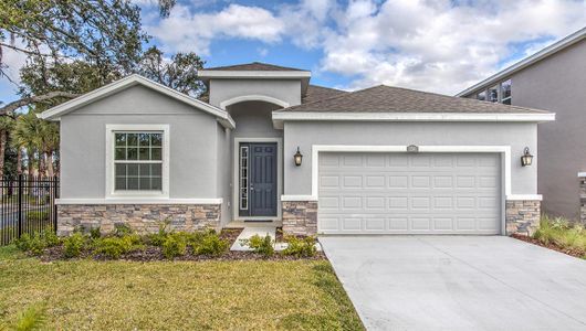 New construction Single-Family house 10422 Charlotte Dr, Parrish, FL 34219 null- photo 5 5