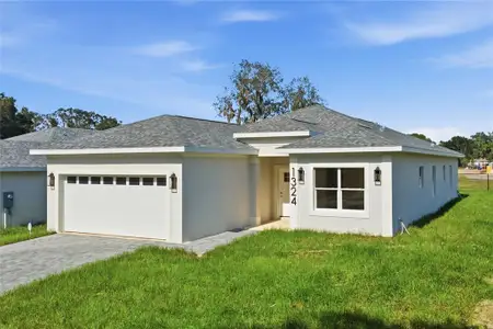 New construction Single-Family house 1324 Marshall Dr, Leesburg, FL 34748 - image