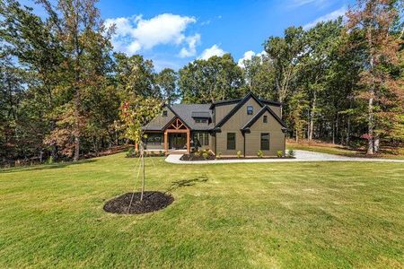 New construction Single-Family house Ridgeville, SC 29472 - image