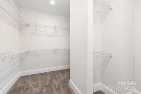 New construction Single-Family house 287 Luray Wy, Unit 450, Rock Hill, SC 29730 plan Abree - image 6