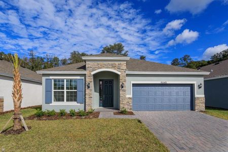 New construction Single-Family house 195 Bottle Brush Drive, Haines City, FL 33844 - photo 0