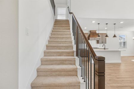 New construction Single-Family house 213 Yaupon Holly St, Lavon, TX 75166 plan Nueces - image 18