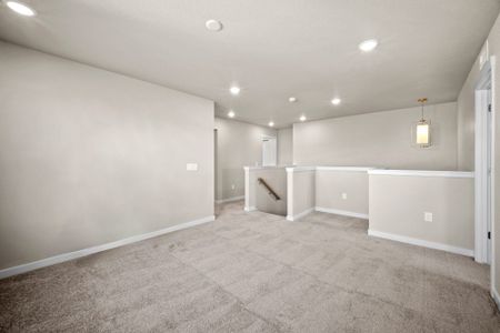 New construction Single-Family house 11472 Lake Trout Dr, Colorado Springs, CO 80925 plan Ash - image 20