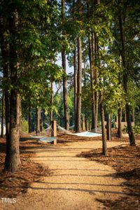 New construction Single-Family house 165 Inspiration Way Way, Fuquay Varina, NC 27526 null- photo 6 6