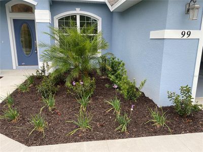 New construction Single-Family house 99 Sloganeer Trl, Palm Coast, FL 32164 null- photo 5 5