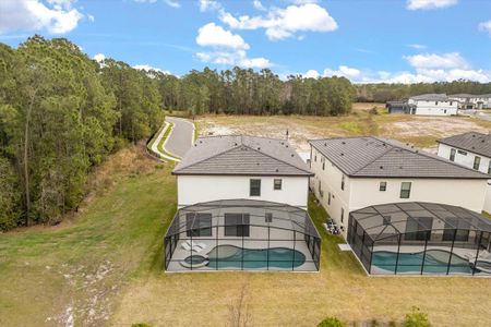 New construction Single-Family house 1242 Butterfly Orchid Rd, Davenport, FL 33837 null- photo 5 5